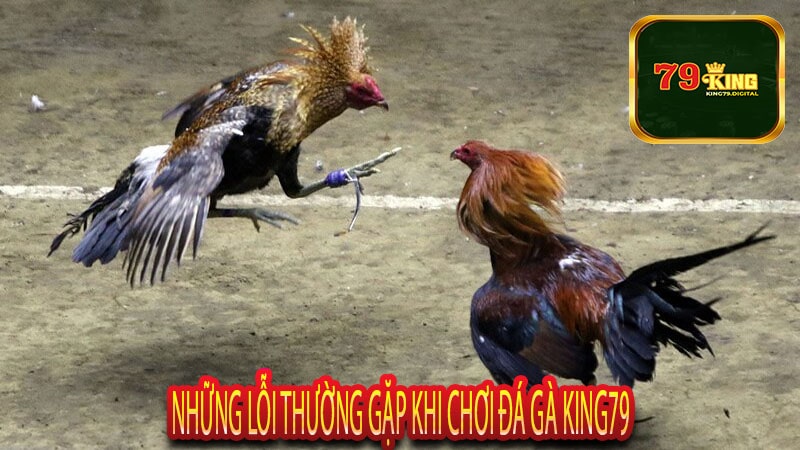 Những Lỗi Thường Gặp Khi Chơi Đá Gà King79