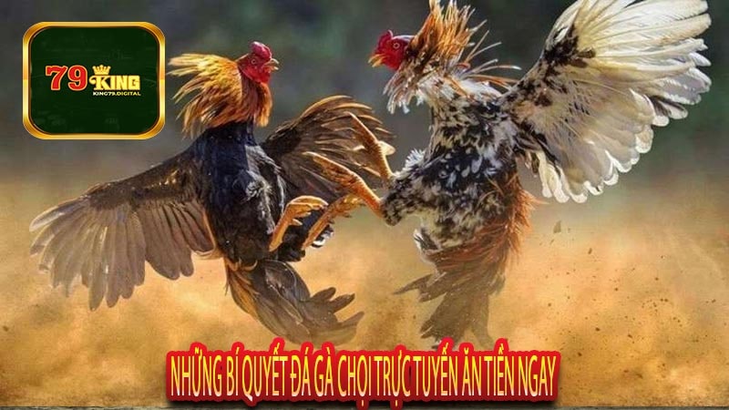 Những Bí Quyết Đá Gà Chọi Trực Tuyến Ăn Tiền Ngay